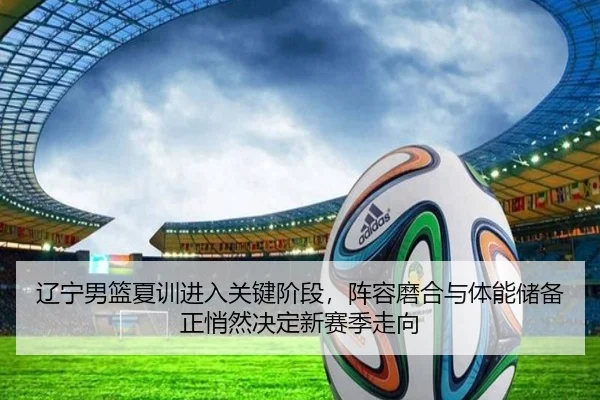 辽宁男篮夏训进入关键阶段，阵容磨合与体能储备正悄然决定新赛季走向 | maiqiuzhan